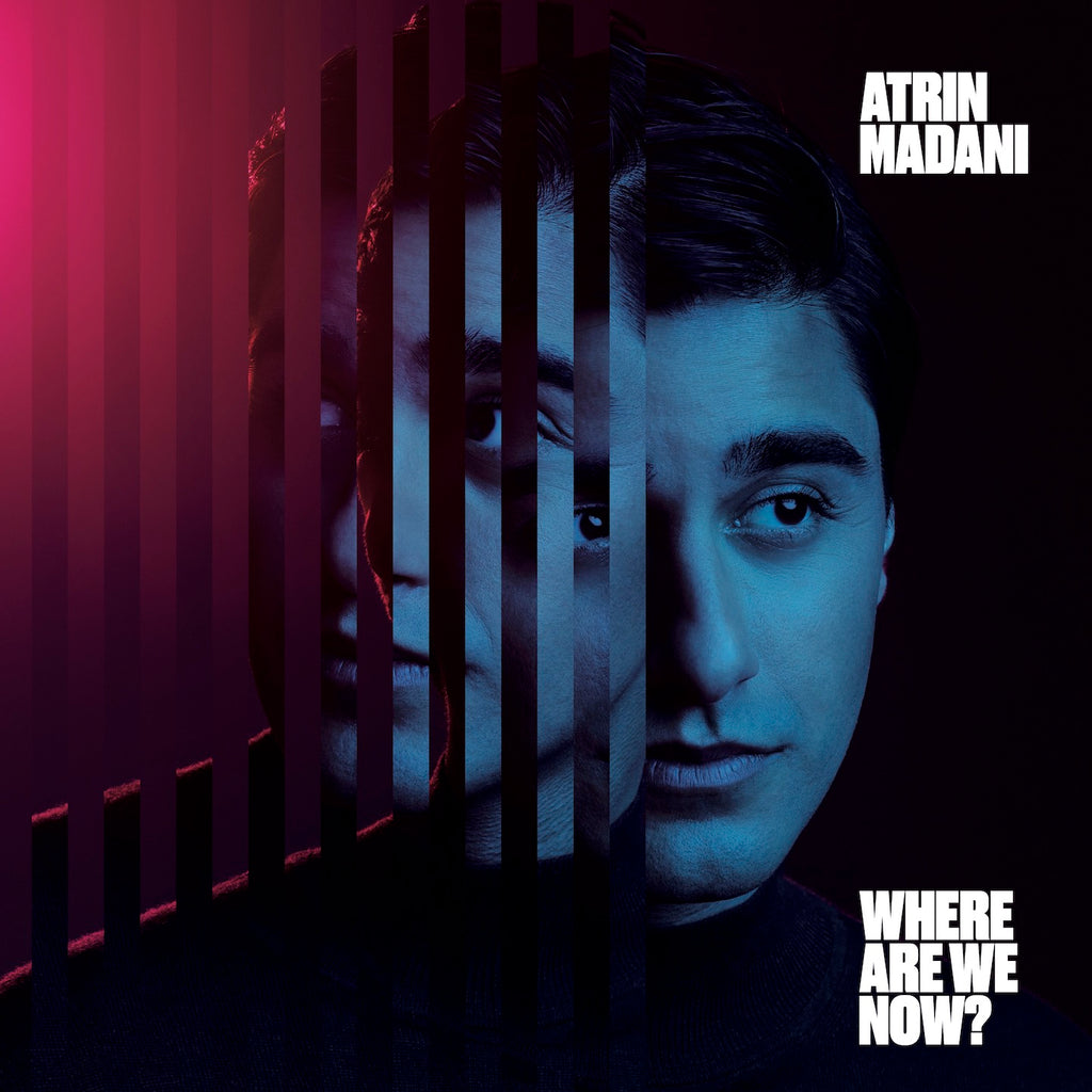 Atrin Madani - Where Are We Now? (12" Vinyl-Album)