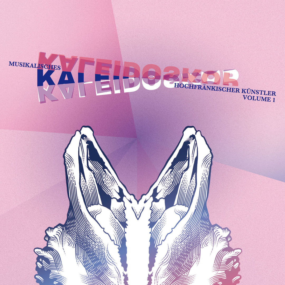 Various Artists - Musikalisches KALEIDOSKOP Hochfränkischer Künstler, Vol. 1 (CD)