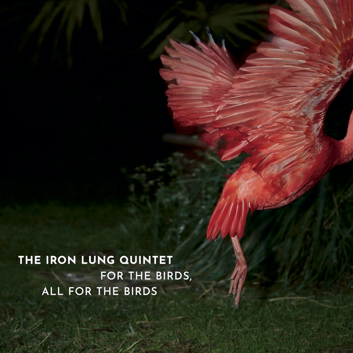 the iron lung quintet - For The Birds, All For The Birds (CD)