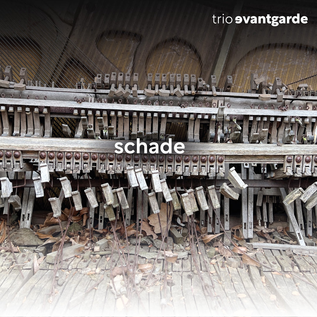 Trio Evantgarde - Schade (CD)