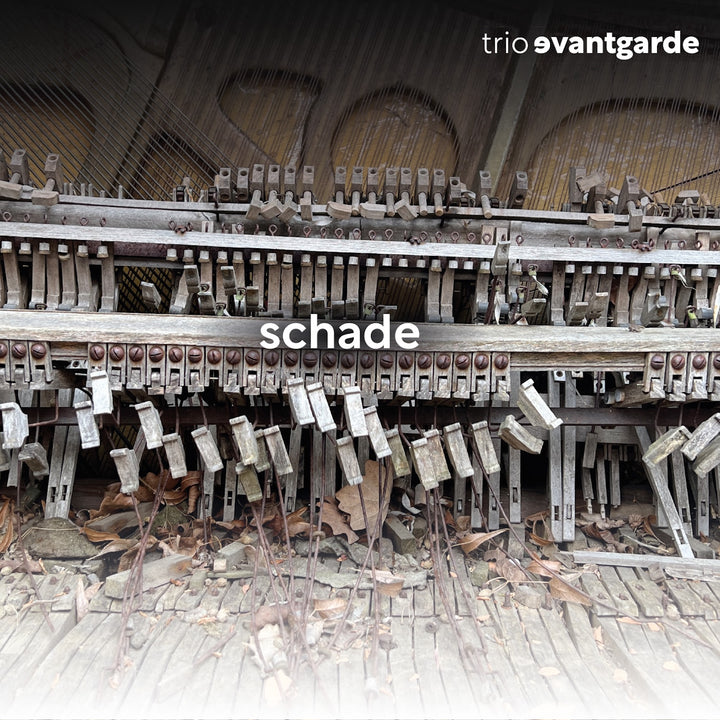 Trio Evantgarde - Schade (CD)