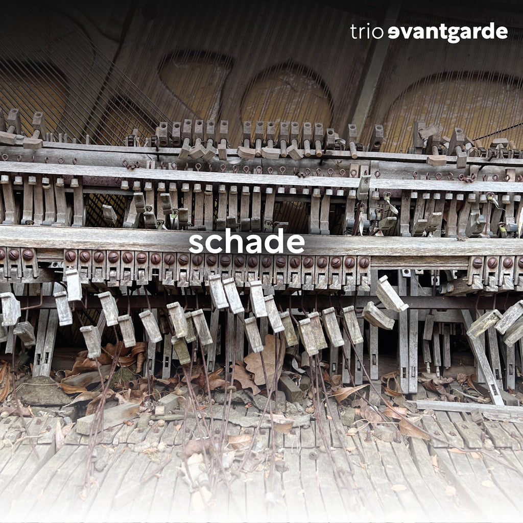 Trio Evantgarde - Schade (CD)
