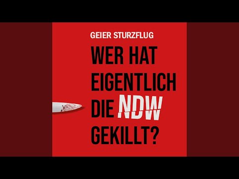 Geier Sturzflug - Wer hat eigentlich die NDW gekillt? (CD + Buch mit 230 Seiten)