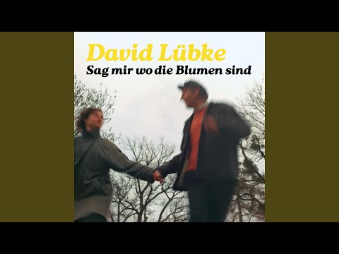 David Lübke - Fahrender Sänger (12" Vinyl-Album)