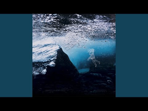 Isgaard - The Water In You (CD)