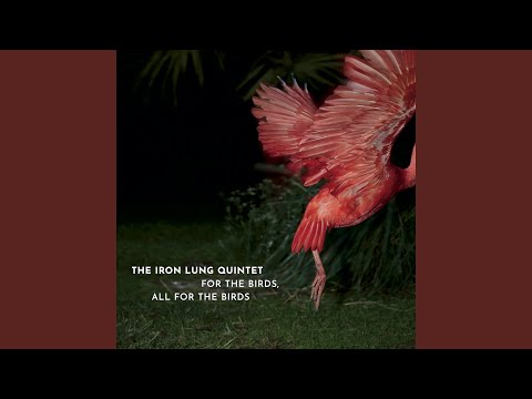 the iron lung quintet - For The Birds, All For The Birds (CD)