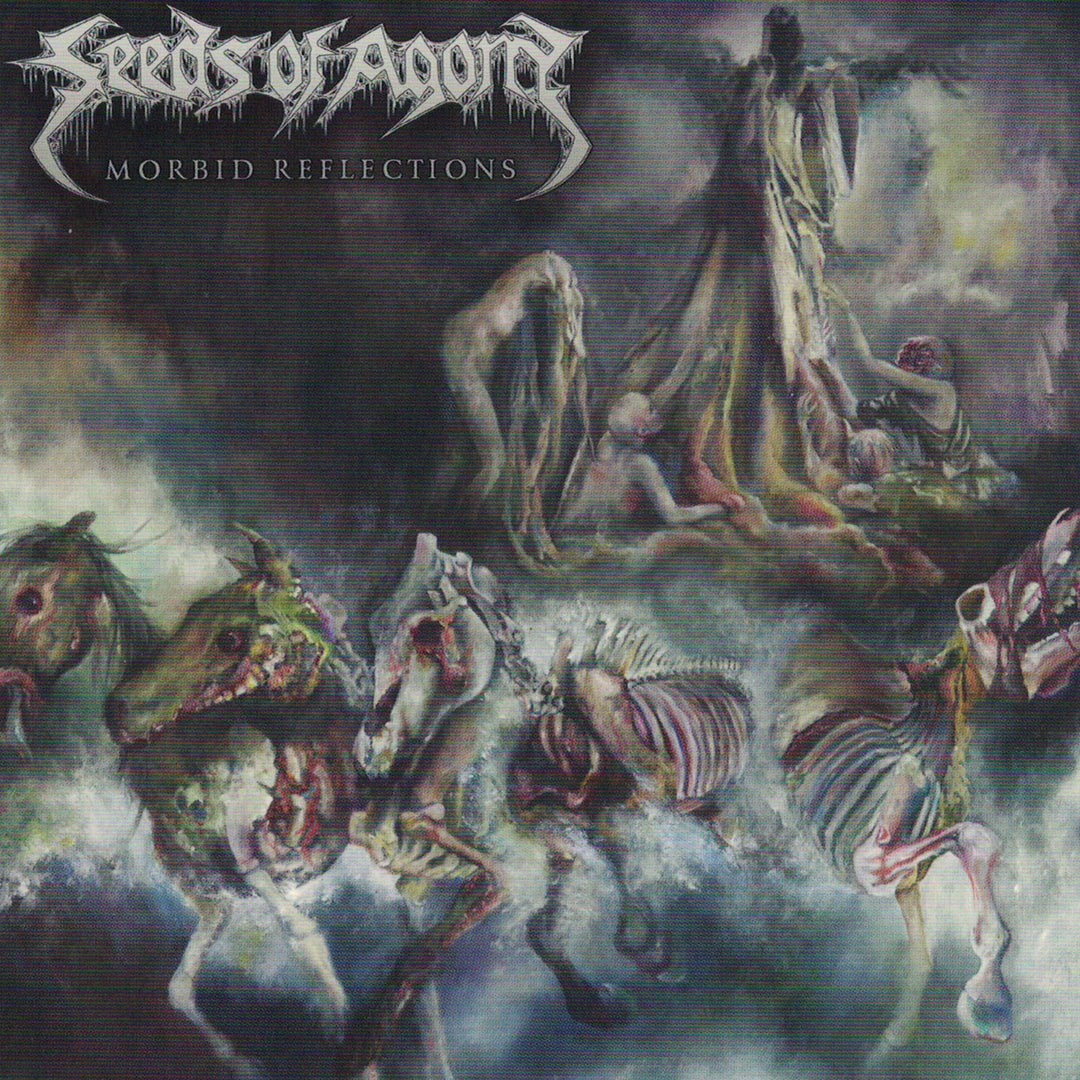 Seeds Of Agony - Morbid Reflections (CD) (5948065677465)