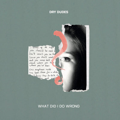 Dry Dudes - What Did I Do Wrong (MP3-Download) (5996307480729)
