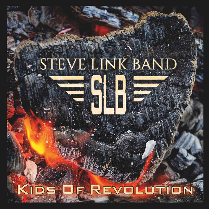 Steve Link Band - Kids Of Revolution (CD)