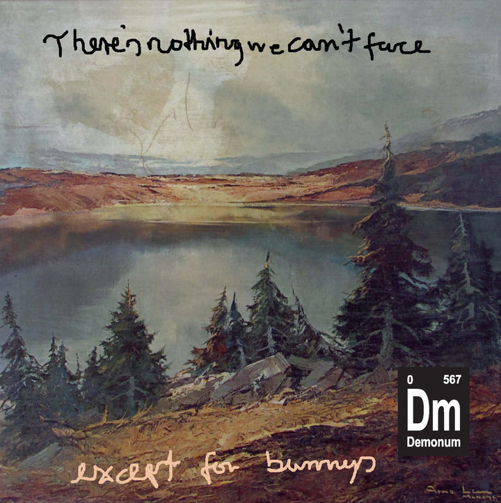 Demonum - There’s Nothing We Can’t Face – Except For Bunnies (10“ Vinyl)