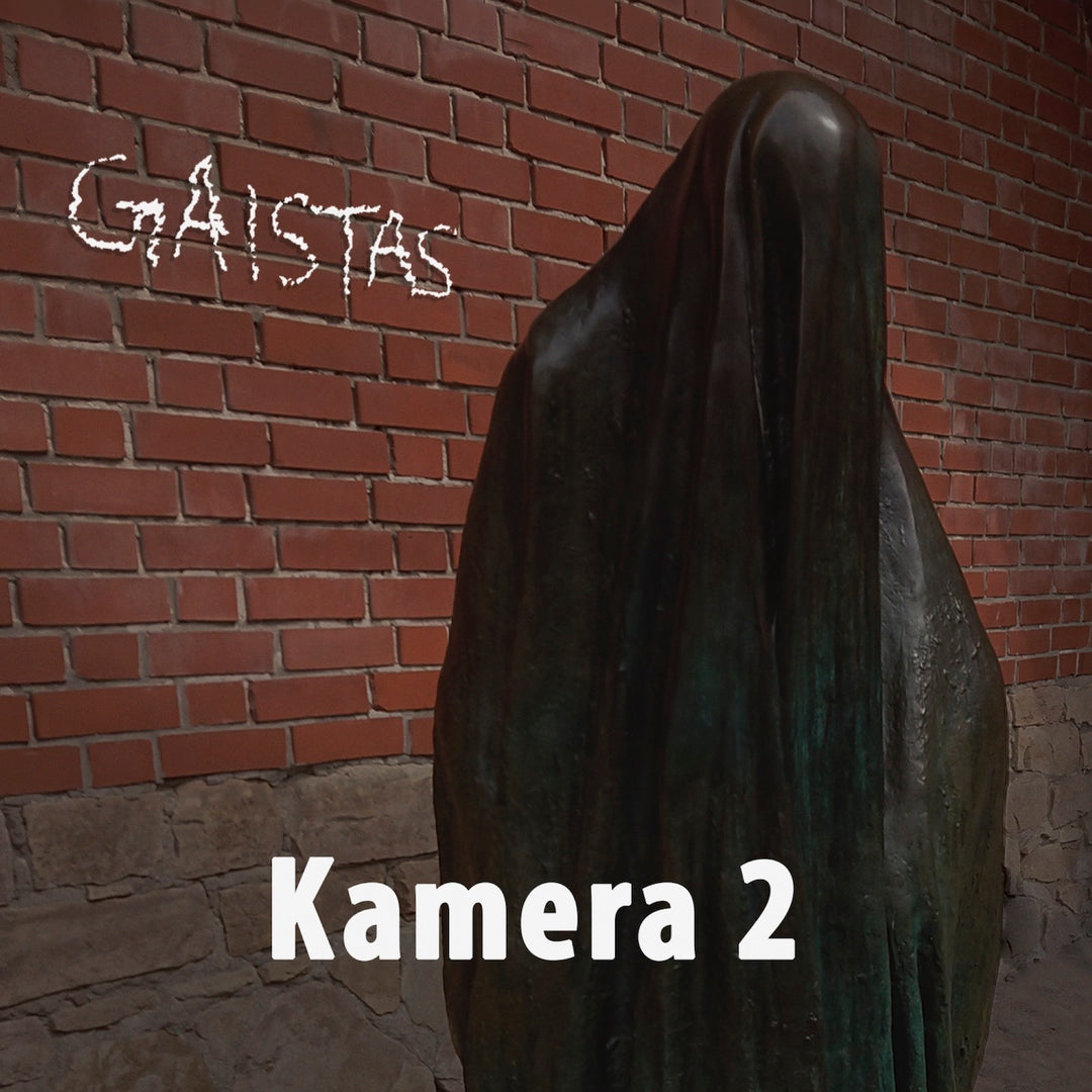 Kamera 2 - Gaistas (CD) (5871817031833)