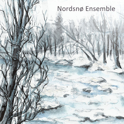 Nordsnø Ensemble - s/t (CD) (5871741960345)