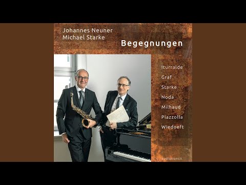 Johannes Neuner, Michael Starke - Encounters (CD)