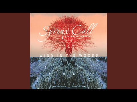 Syrinx Call - Wind In The Woods (CD)