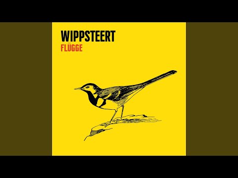 Wippsteert - Flügge (CD)