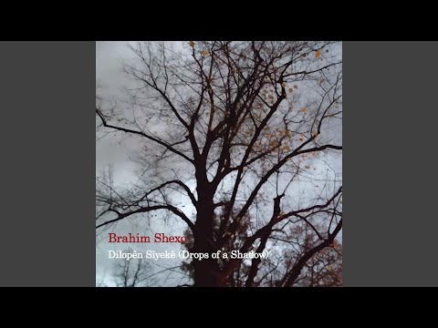 Brahim Shexo - Dilopên Sîyekê (Drops Of A Shadow) (CD)