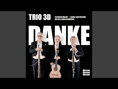 Trio 3D - Danke (CD)