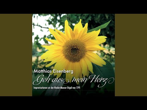 Matthias Eisenberg - Geh aus, mein Herz (Improvisationen an der Nieder-Mooser Orgel von 1791) (CD)