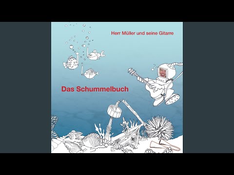 Herr Müller und seine Gitarre - Das Schummelbuch (CD)