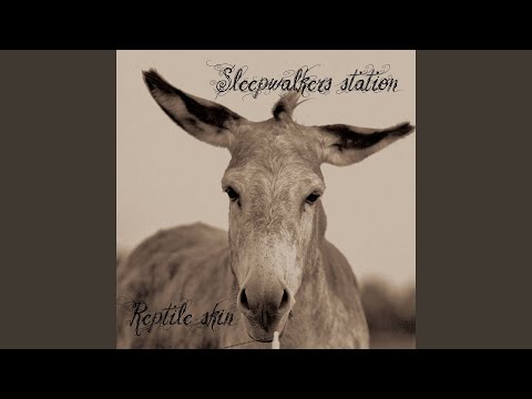 Sleepwalker’s Station - Reptile Skin (CD)