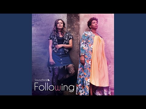 SoundBirdz - Following (CD)