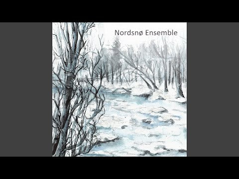 Nordsnø Ensemble - s/t (CD)