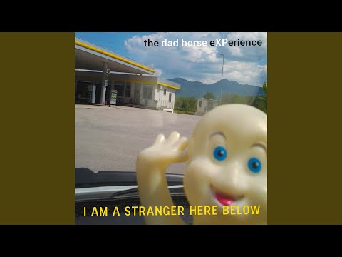 The Dad Horse Experience - I Am A Stranger Here Below (CD)