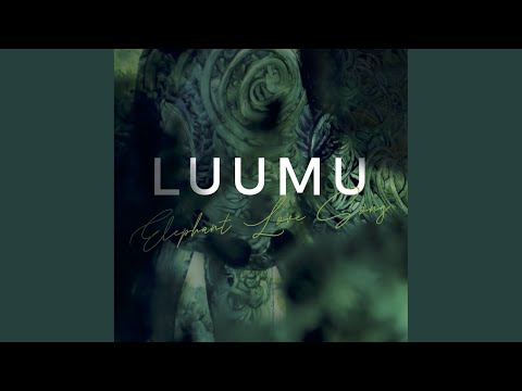 Luumu - Elephant Love Song (CD)