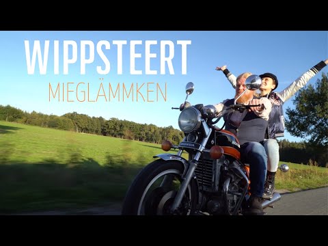 Wippsteert - Flügge (CD)