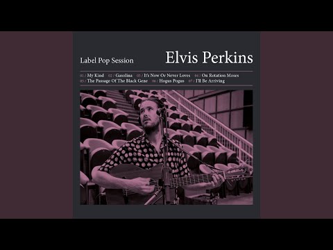 Elvis Perkins – Label Pop Session (CD)