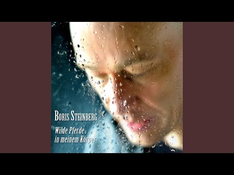 Boris Steinberg - Wilde Pferde ... in meinem Körper (CD)