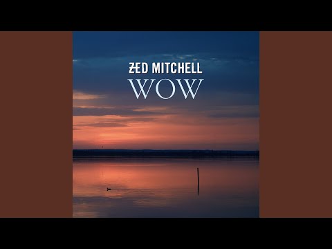 Zed Mitchell - Wow (CD)