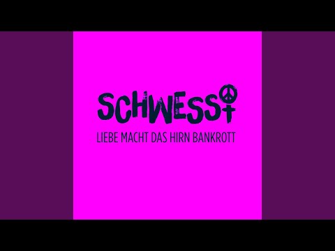 Schwessi - Achtung Überlebensgefahr (CD)